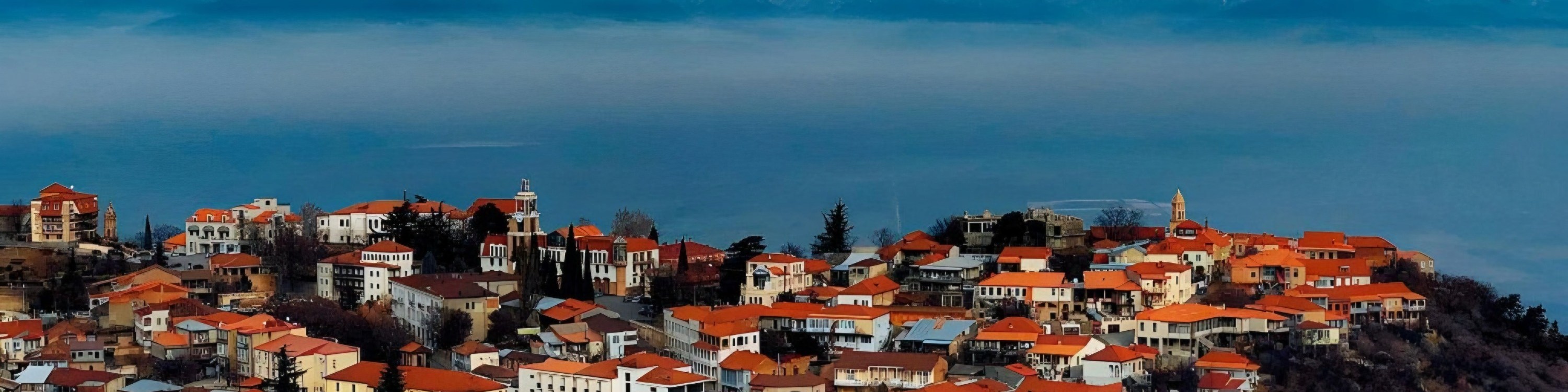 Tbilisi: Kakheti, Signaghi, & Chateau Tour with Wine Tasting
