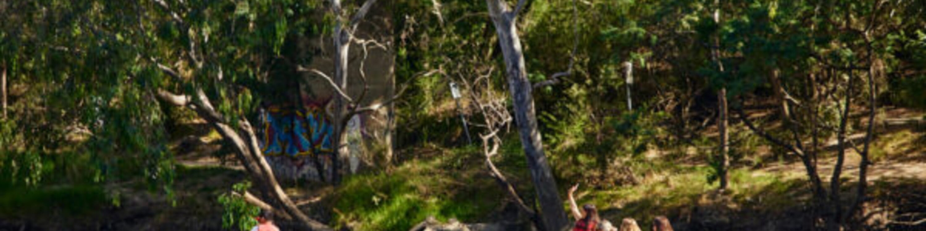 Yarra River Heritage Walk & Boathouse Lunch Experience