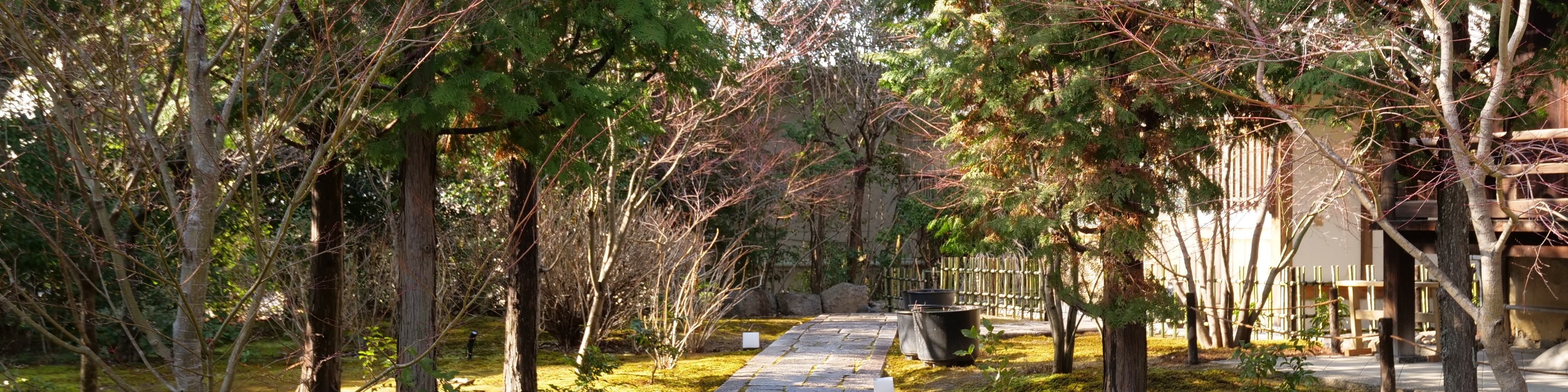 京都寺廟禪修 & 庭院之旅