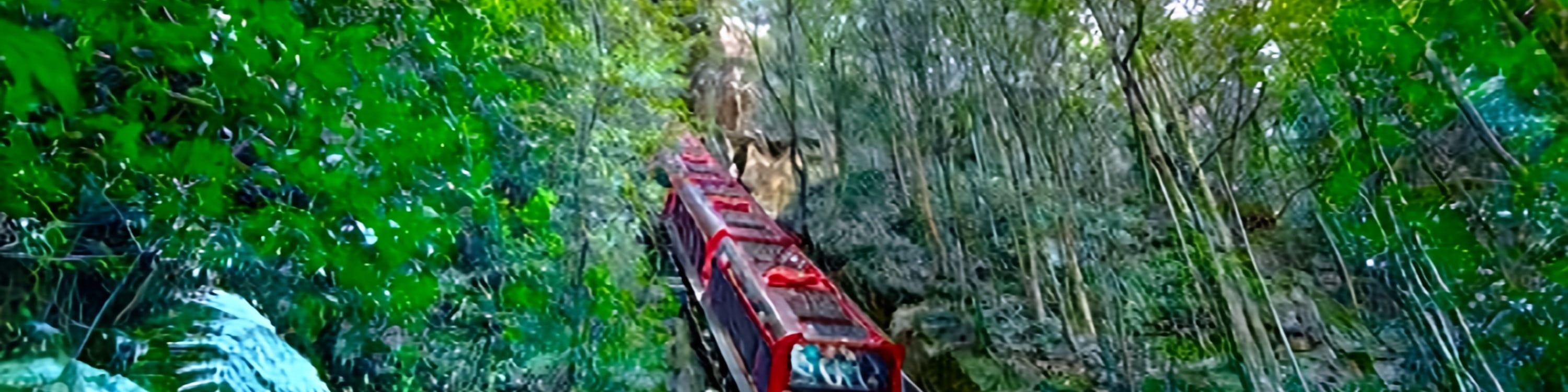 乘坐藍山風景世界(Scenic World)的觀光火車,體驗以52°傾角下降到雨林中的刺激 乘坐藍山風景世界(Scenic World)的觀光火車,體驗以52°傾角下降到雨林中的刺激
