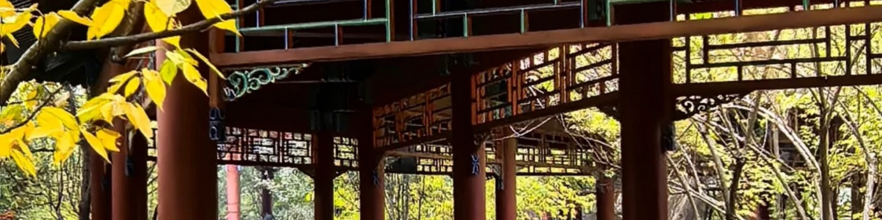清晨練習養生八段錦，品嚐地道的京味早餐小吃-Eatwith