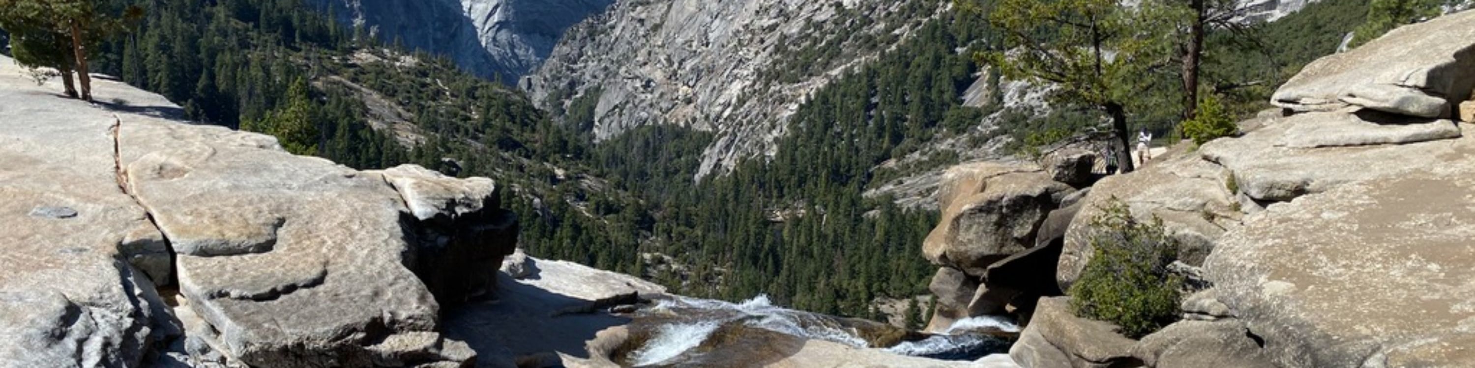 Yosemite, Death Valley, and San Francisco 4-Day Tour from Las Vegas
