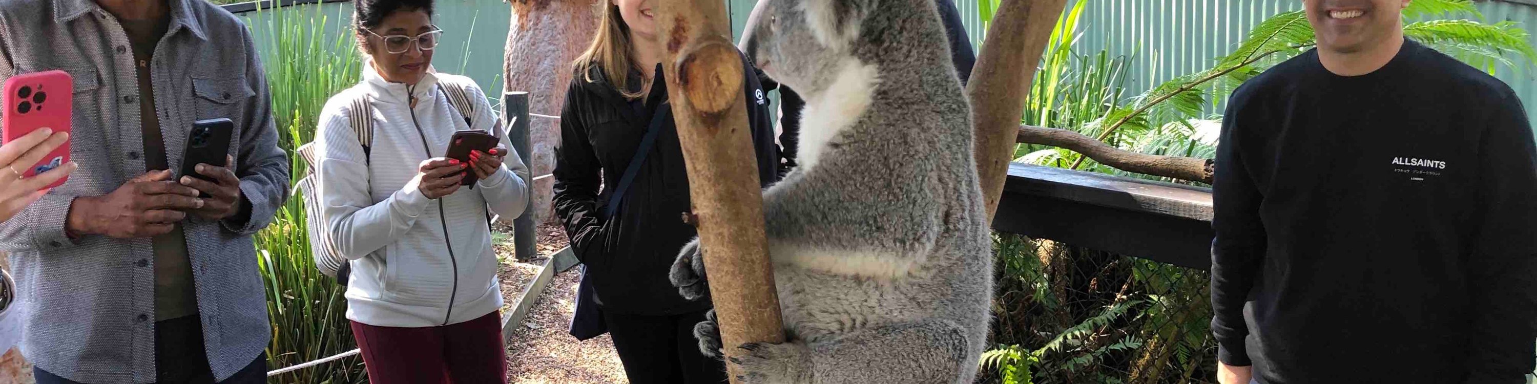 獵人谷葡萄酒 & 野生動物探索之旅