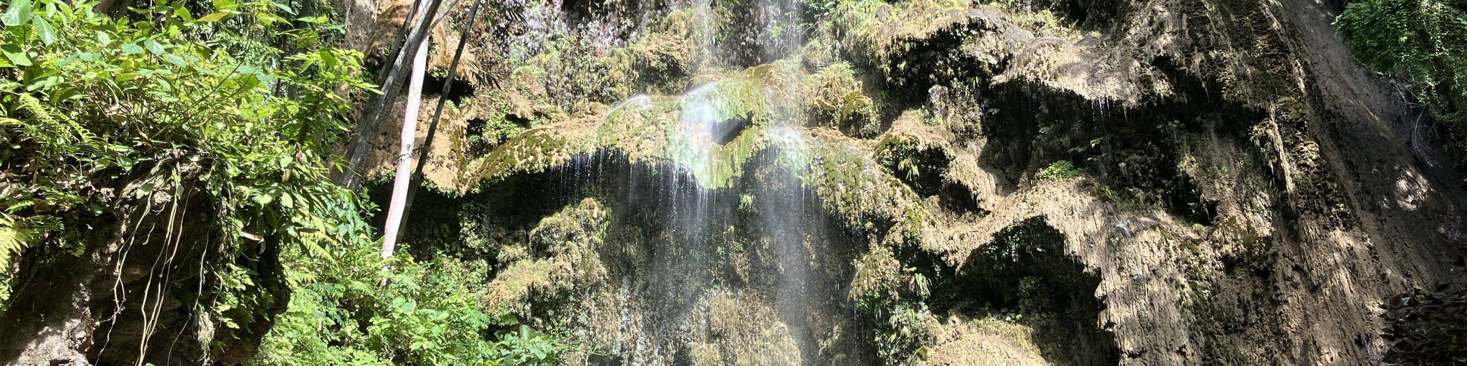 宿務與鯨鯊浮潛和蘇米龍島跳島遊