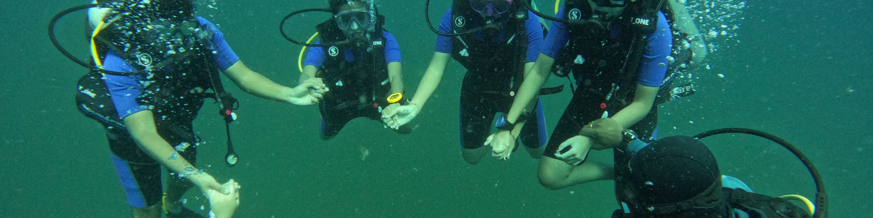 Join the dive tribe