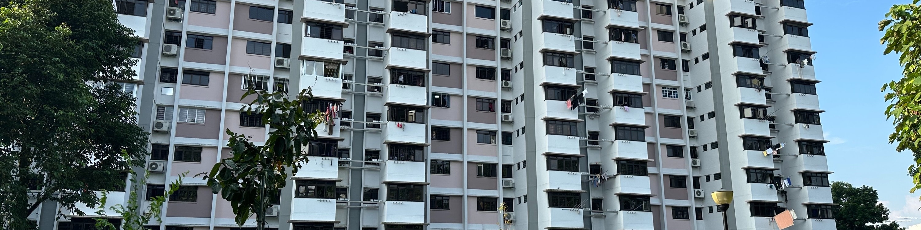 新加坡真實市中心美食步行之旅