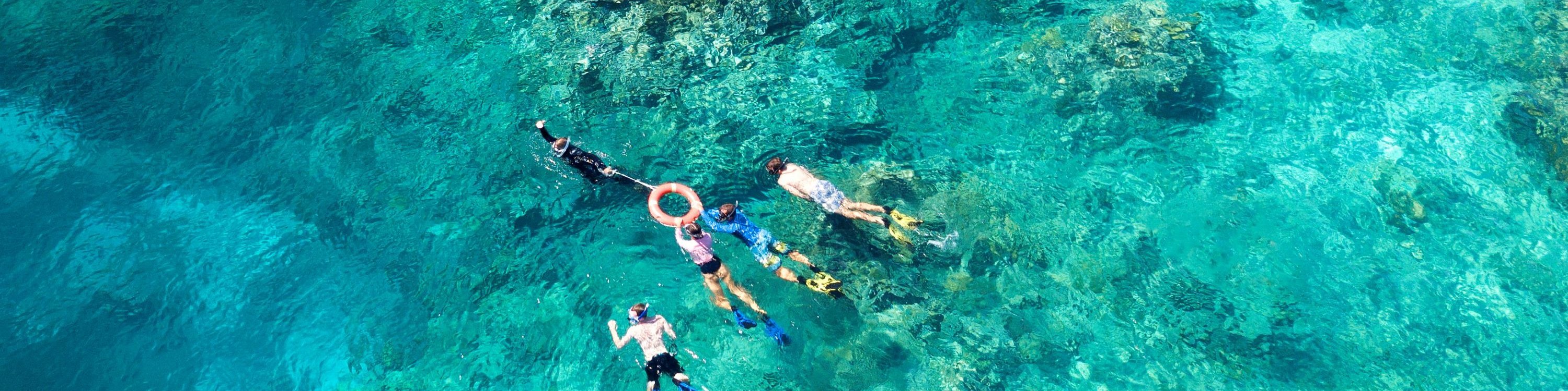 Half-Day Outer Reef Snorkel Experience from Cairns - Thumbnail 7