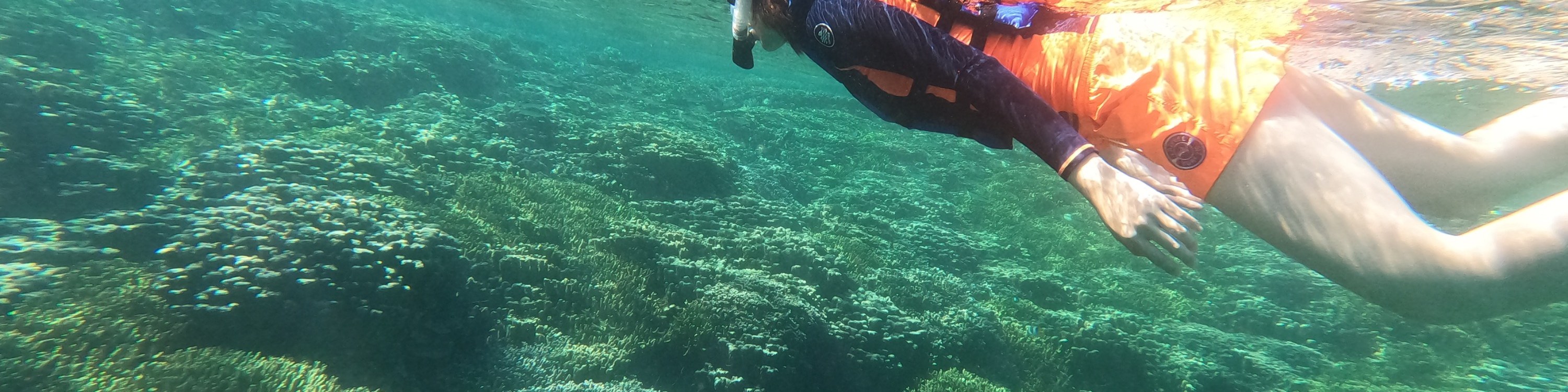關島高級浮潛體驗