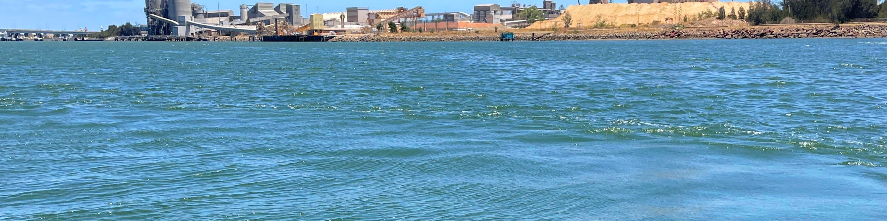 Port River Dolphin & Ships Graveyard Cruise from Port Adelaide