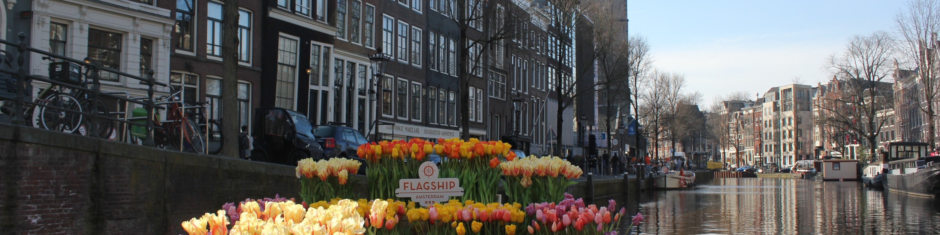 阿姆斯特丹 (Amsterdam) 運河豪華遊船賞花之旅（船上酒吧）