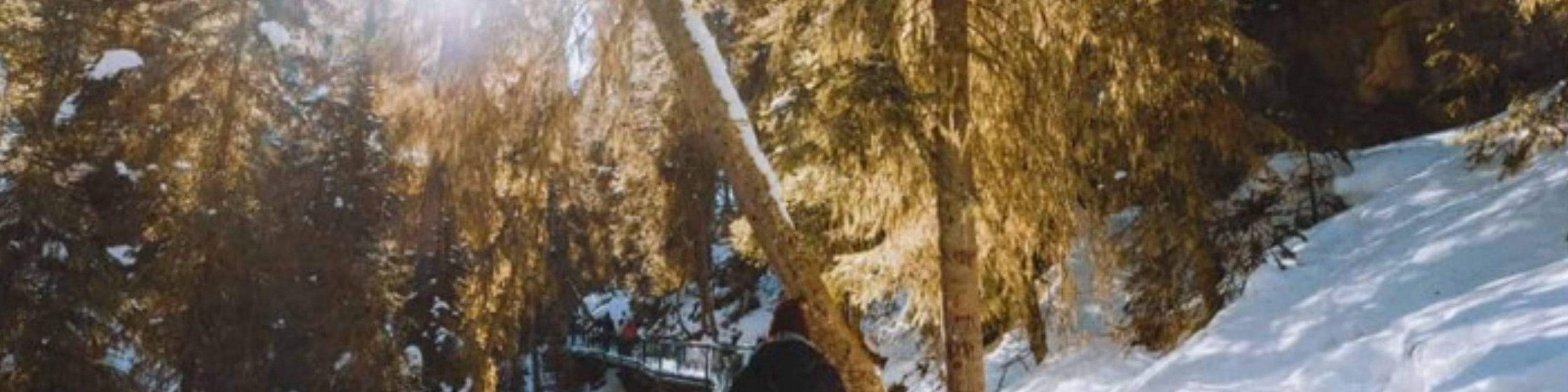 班夫強斯頓峽谷之旅 (Johnston Canyon Tour in Banff)