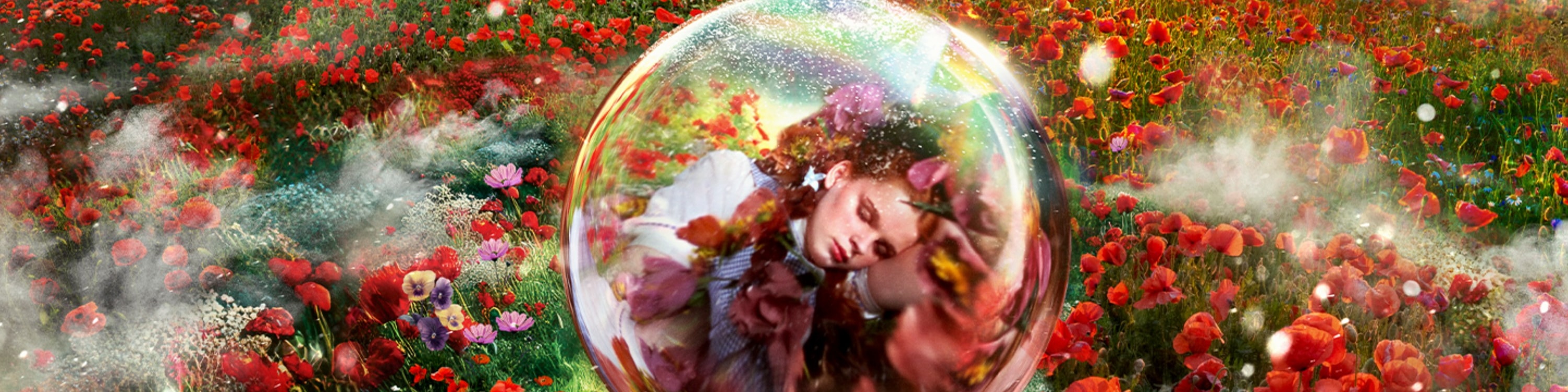Venture with Dorothy through the streets of Oz with an immersive experience
