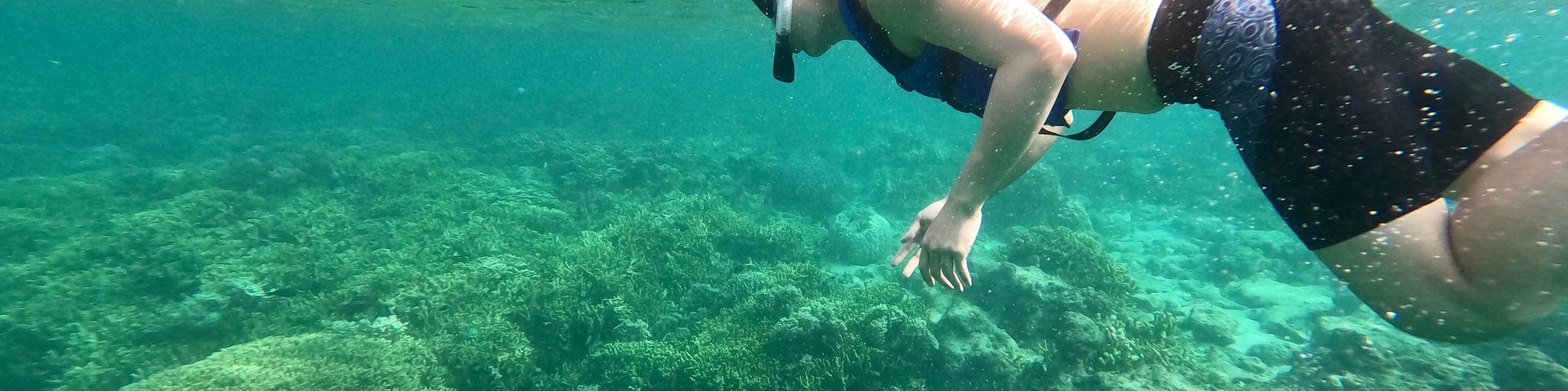 關島高級浮潛體驗