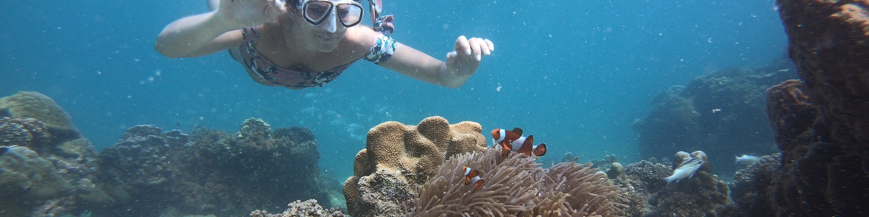 4 島浮潛日落之旅 + 夜晚生物熒光游泳