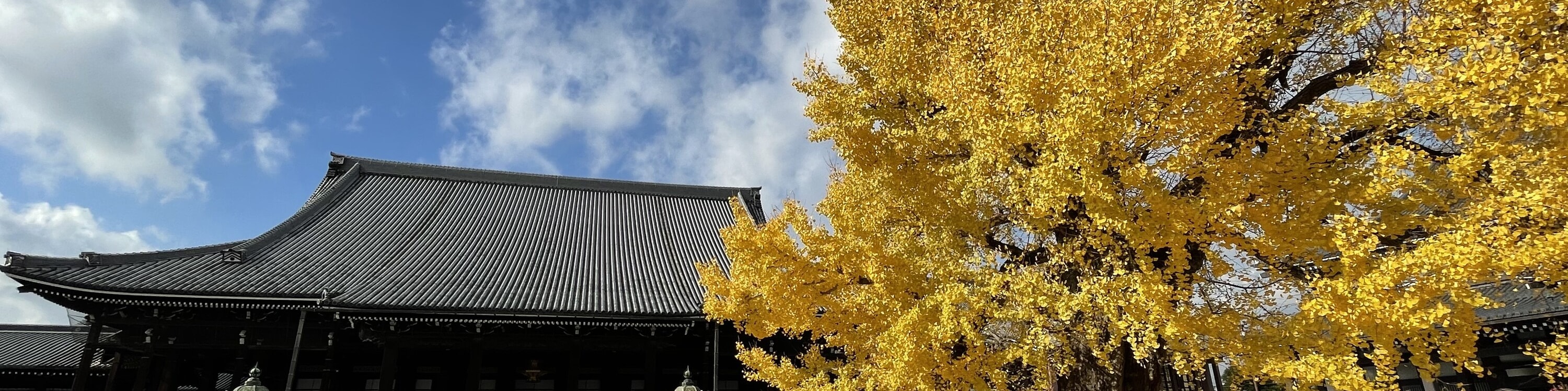 Kyoto Private Tour: Custom Highlights with a Licensed Guide - Thumbnail 10