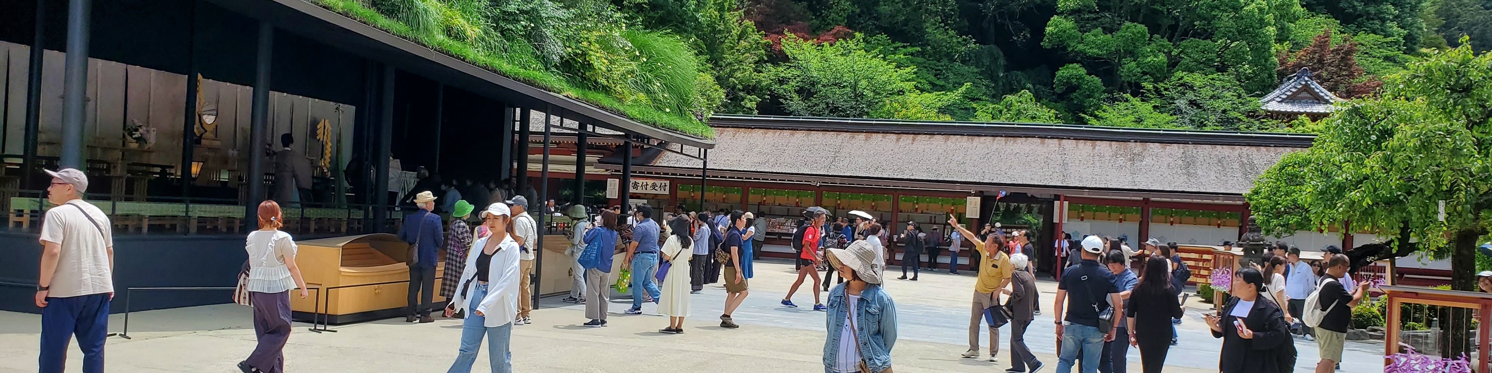 繡球花節 & 太宰府天滿宮遊覽 + 御朱印收集