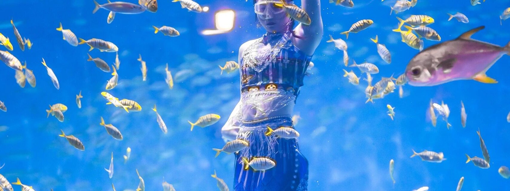 Mermaids shuttle through schools of fish, and at Haichang Ocean Park, they go on a date with a real-life "Mermaid Fairy Tale"