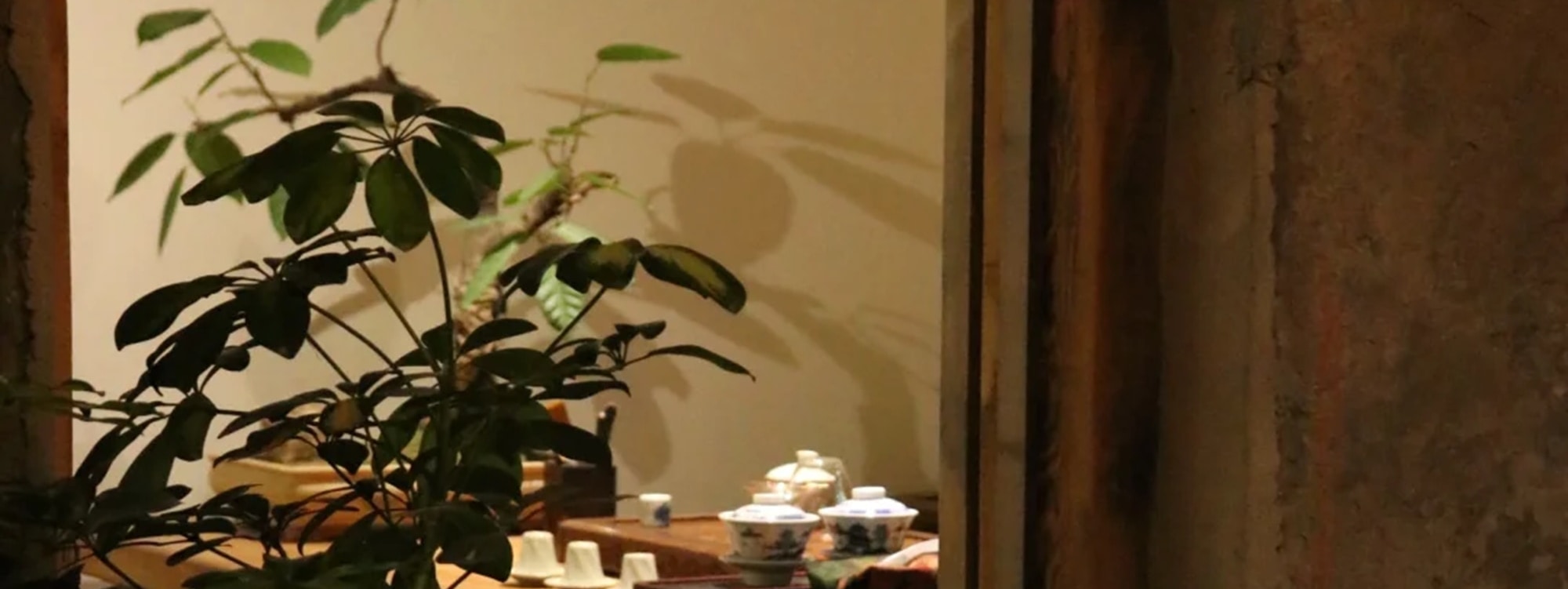 Chongqing 5