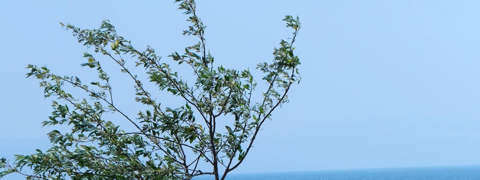雲南撫仙湖純玩一日遊（撫海灣溼地公園+撫仙湖西岸紅咀+撫仙湖祿充風景區+粉色沙灘+筆架山+石鍋魚/銅鍋洋芋飯+雲南人的後花園+昆明往返）
