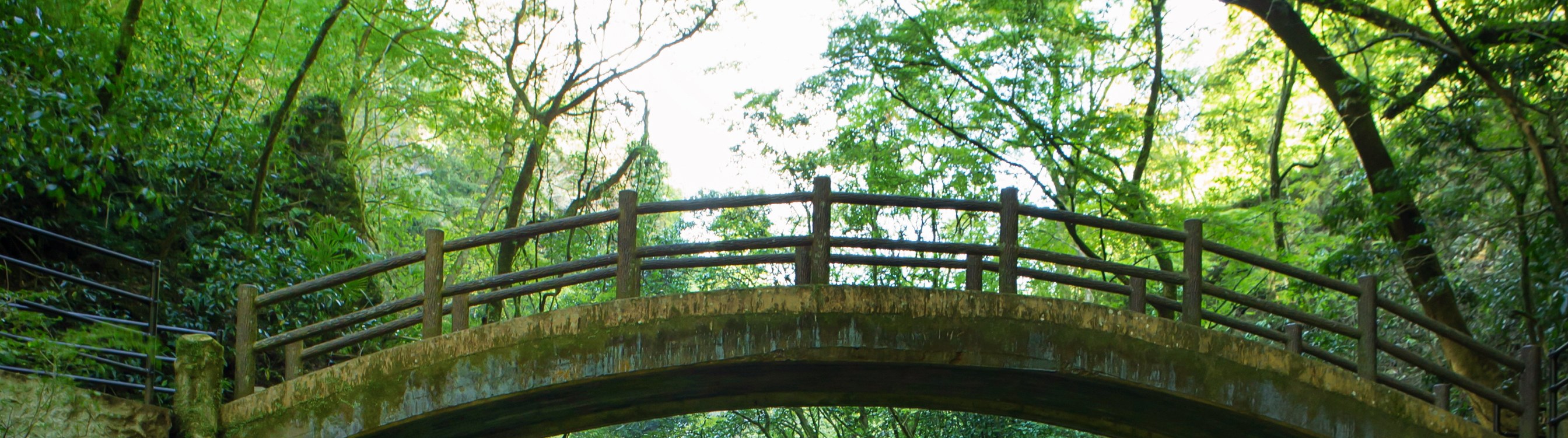 宮崎一日游（含特色牛肉午餐）高千穗+高千穗神社+天安河源    福岡出發/中英導遊