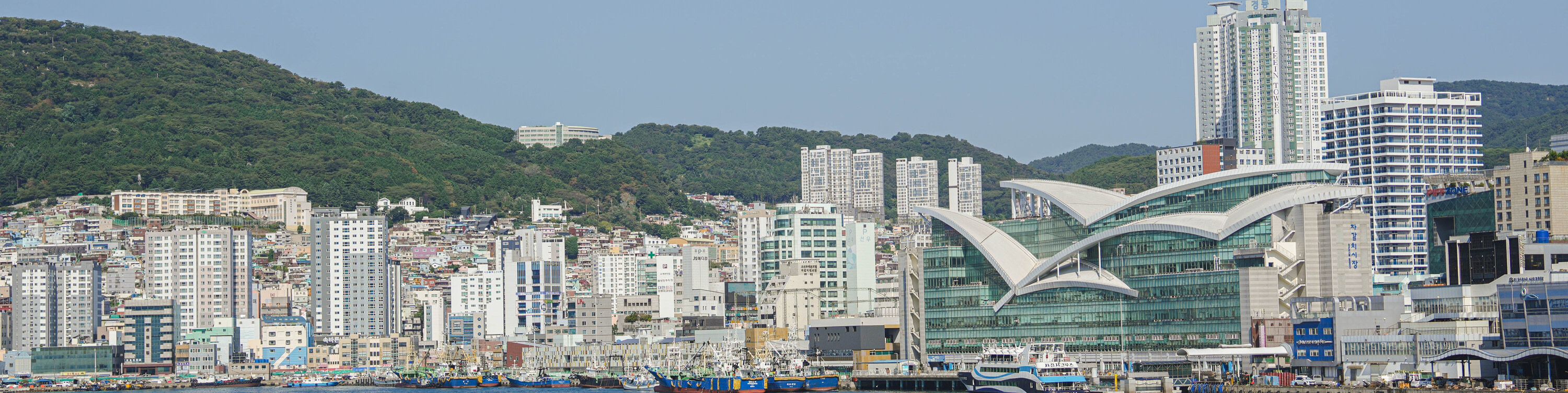 Busan Jagalchi Market & Huinnyeoul Village 2-Hour Active Walk