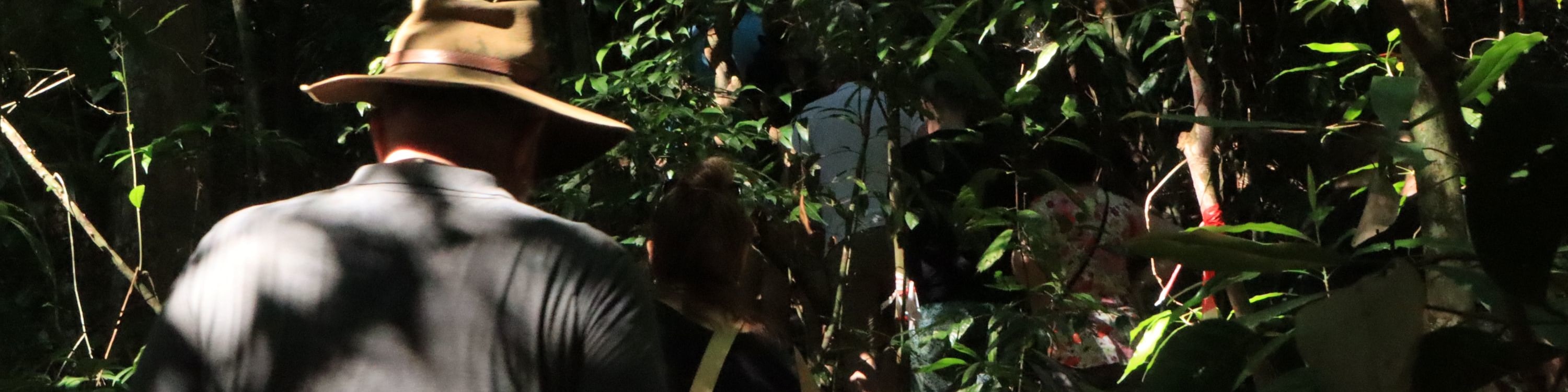 與當地專家同行,深入大自然,獲取獨到見解。 與當地專家同行,深入大自然,獲取獨到見解。