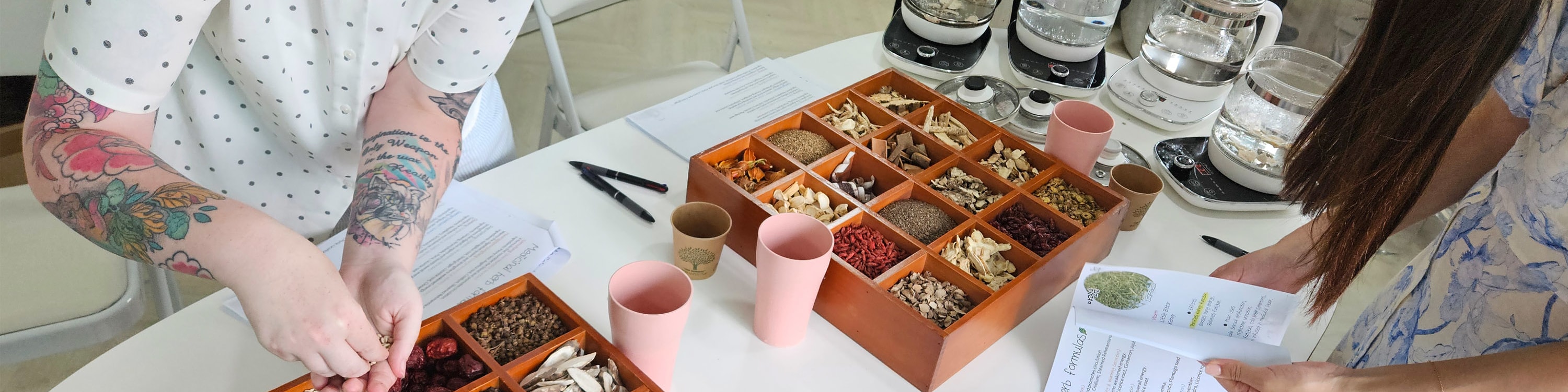 herbal tea class & Korean Medicine tour