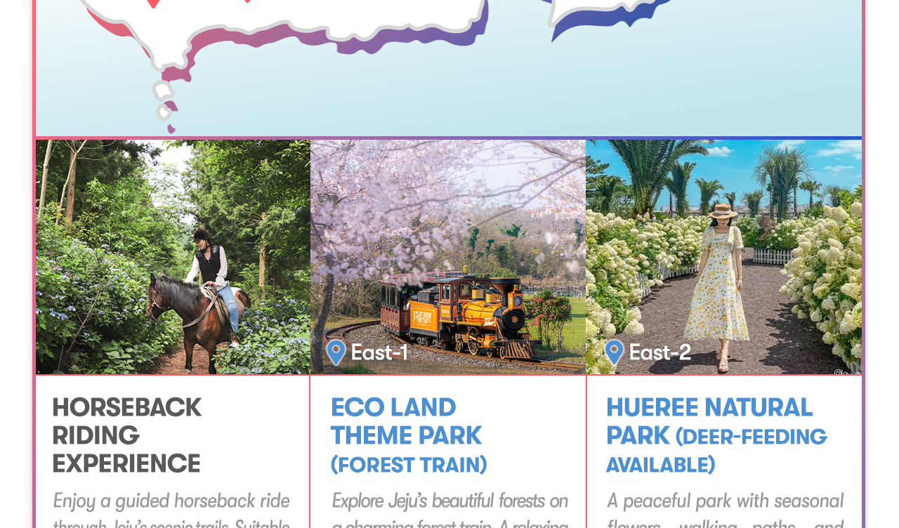 Jeju Car Rental with Driver to Seongsan Sunrise Peak/Osulloc Tea Museum/Cheonjeyeon Waterfalls/Folk Village