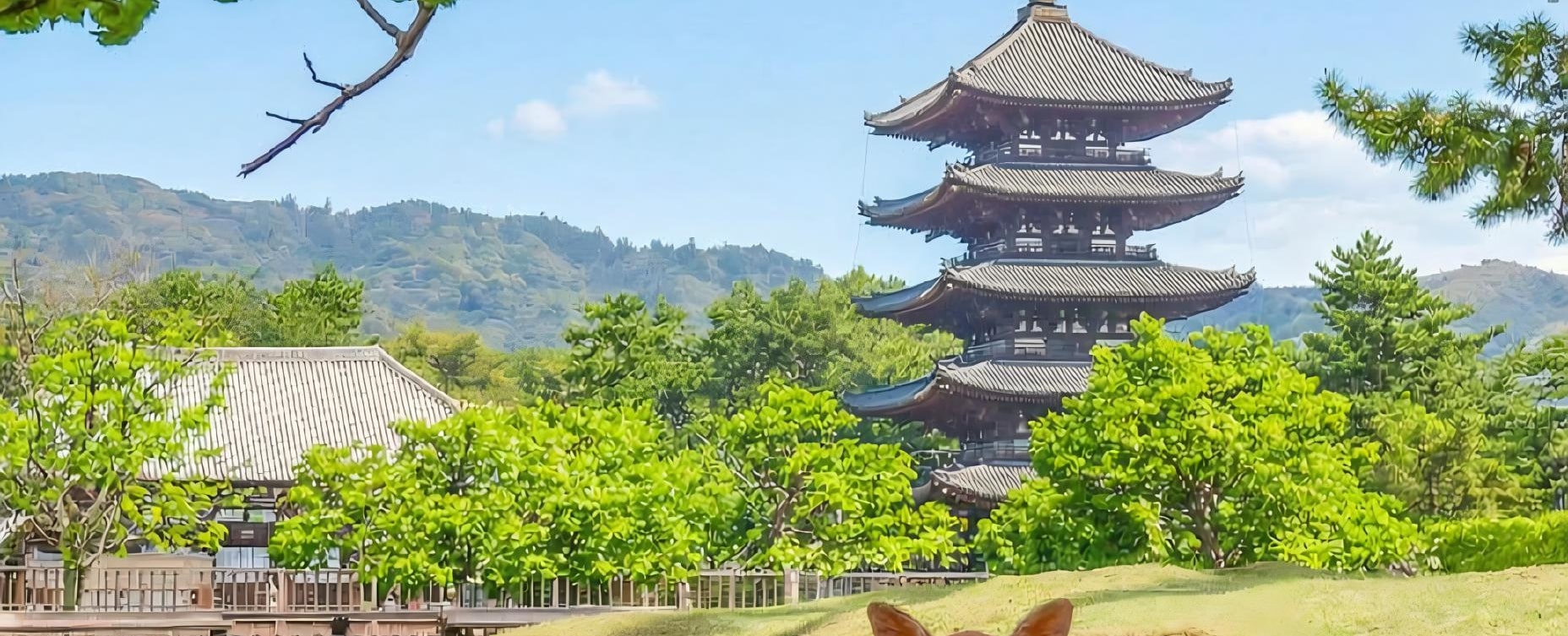 【Kyoto & Nara Historical and Cultural Scenic Day Tour】Arashiyama Scenic Railway & Fushimi Inari-taisha Shrine Senbon Torii & Nara Park & Togetsukyo Bridge & Bamboo Grove Path & Kimono Forest (Departing from Osaka or Kyoto)
