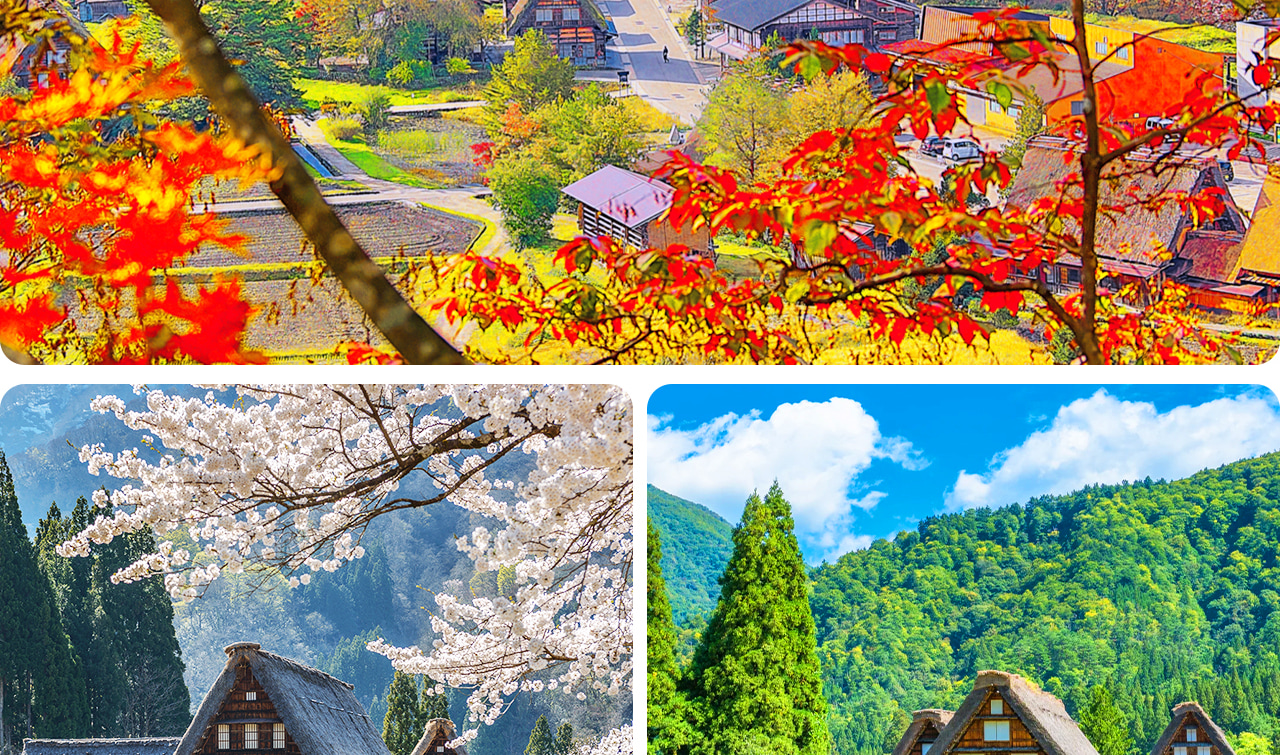 名古屋出發｜飛驒高山＆白川鄉合掌村世界遺產探訪一日遊｜可選含展望臺行程
