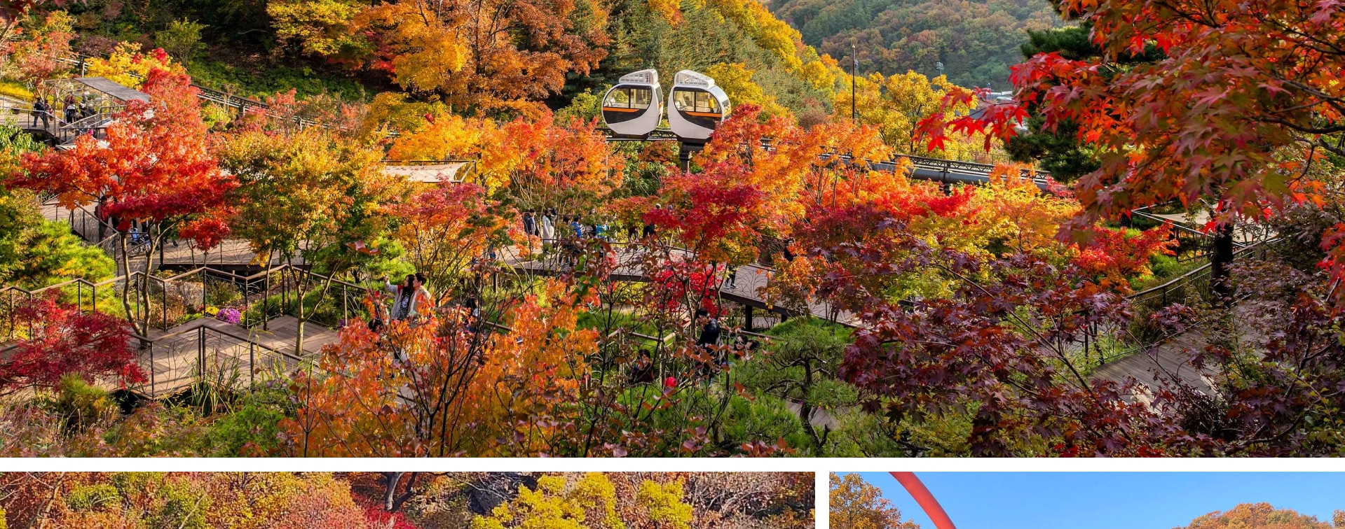 🍂秋天，整個森林變成了一幅令人歎為觀止的紅色、橙色和金色樹葉的畫布。
