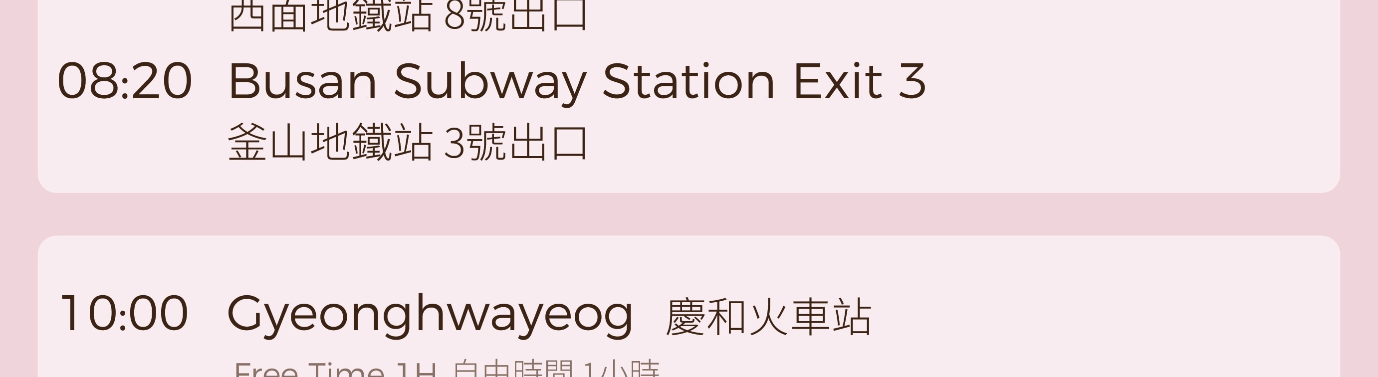 鎮海軍港節賞櫻一日遊（首爾／釜山出發）