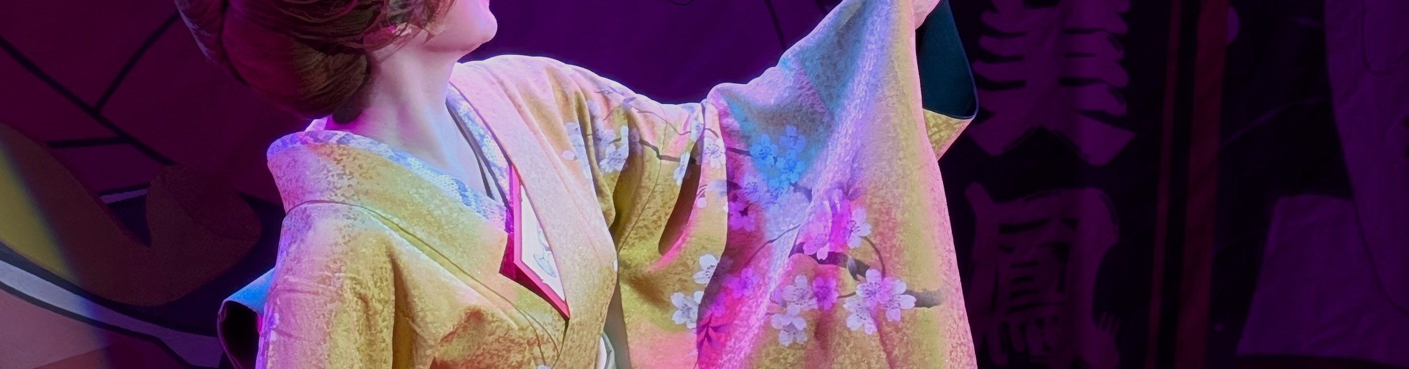 Tokyo Asakusa: Guided Japanese Cabaret Show (Taishu Engeki) - Thumbnail 20