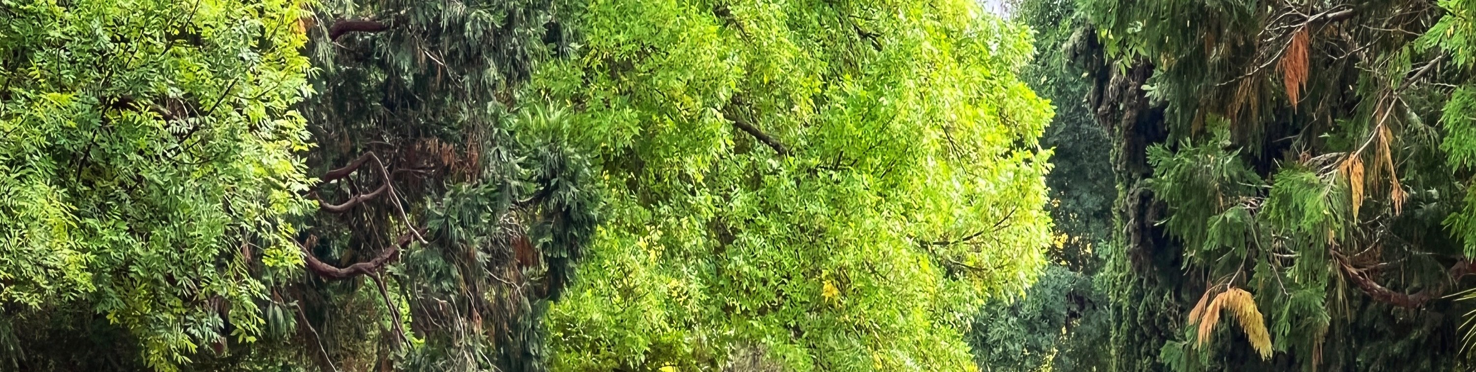 羅素瀑布 & 波諾朗野生動物保護基地一日遊（荷巴特出發）