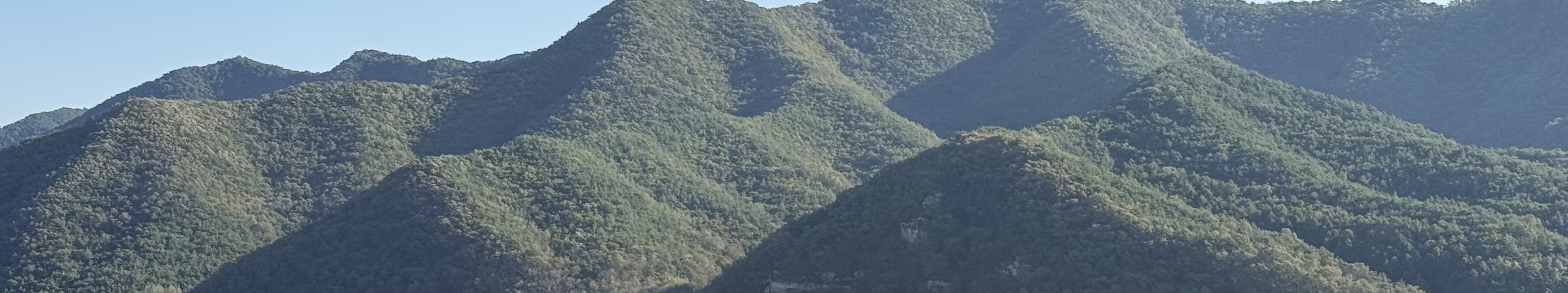 河回村