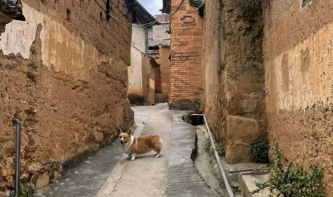 漫步探索秘境村落