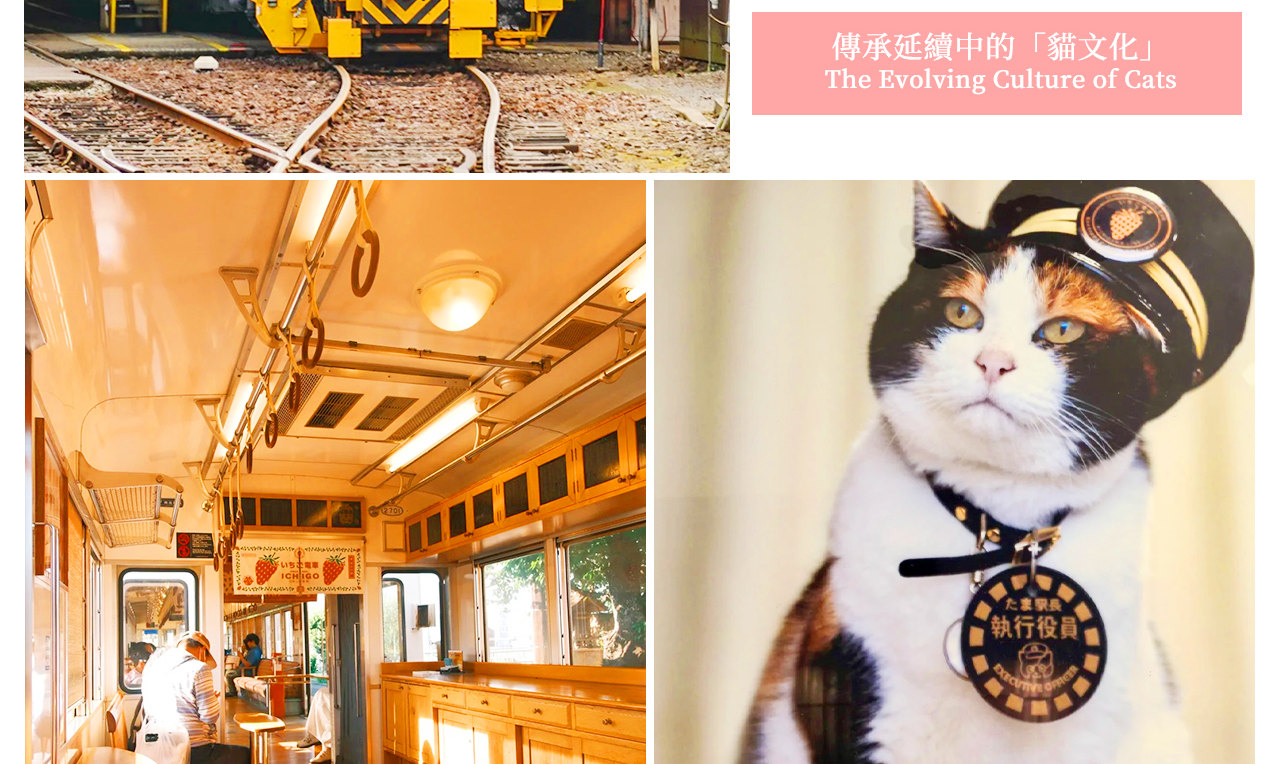 和歌山電鐵貴志川線:探訪傳奇貓站長小玉的故事,體驗貓咪主題電車,感受延續的 “貓文化”,是萌寵愛好者的打卡地。 和歌山電鐵貴志川線:探訪傳奇貓站長小玉的故事,體驗貓咪主題電車,感受延續的 “貓文化”,是萌寵愛好者的打卡地。