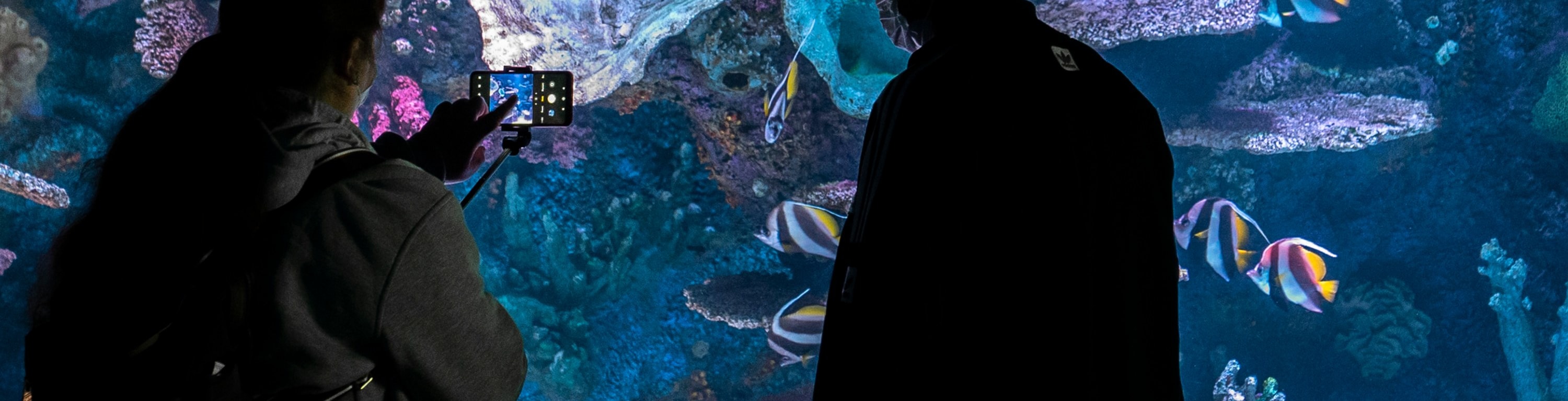 安塔利亞水族館和蠟像館門票