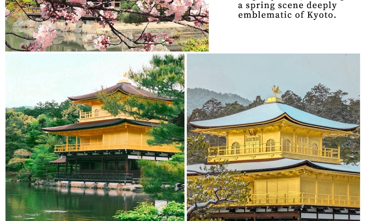 Kyoto Kinkaku-ji Temple, Arashiyama Free Stroll & Night Cherry Blossom/Autumn Leaves Illumination Arashiyama Sagano Romantic Train Day Trip (Departing from Osaka/Kyoto) - Thumbnail 4