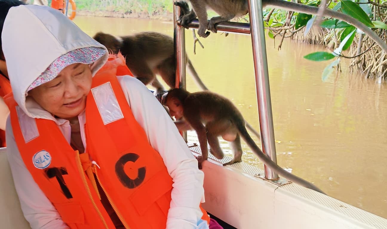 Bongawan 紅樹林遊船和螢火蟲之旅 (Bongawan Mangrove Cruise and Fireflies Tour)
