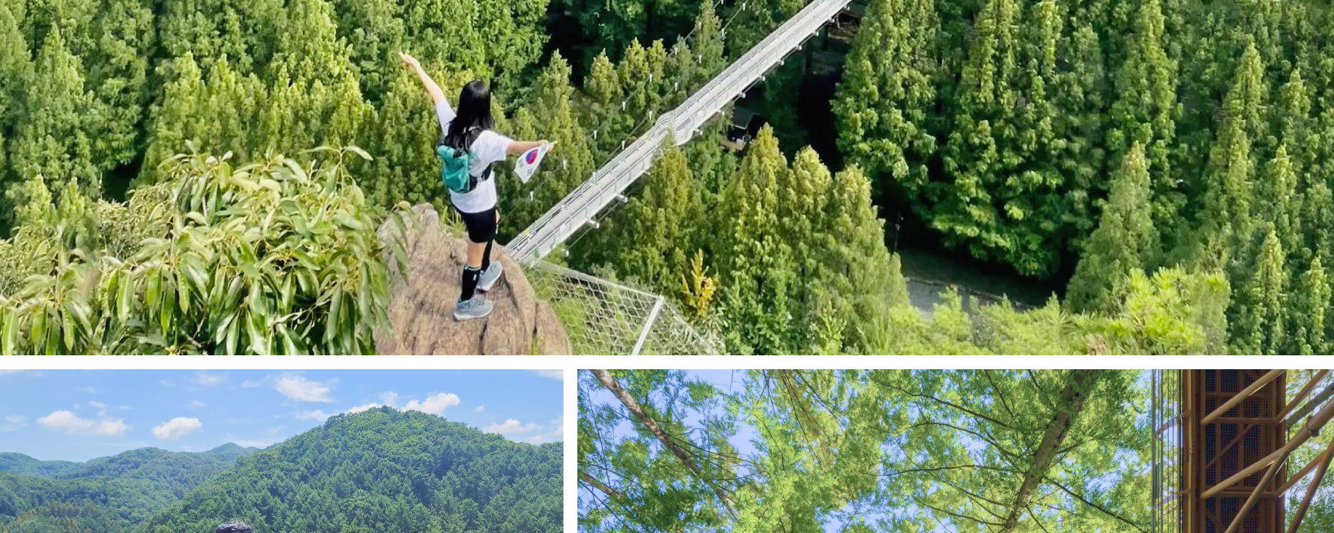 🌿夏季的長泰山以其美麗的小徑而聞名,非常適合清爽的徒步旅行。 🌿夏季的長泰山以其美麗的小徑而聞名,非常適合清爽的徒步旅行。