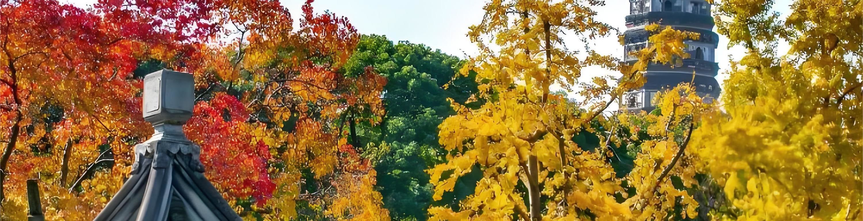 蘇州楓橋 寒山寺 姑蘇水上游 山塘崑曲館 虎丘 私人導覽一日遊