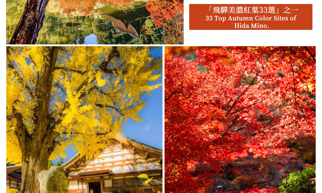 寺內有樹齡七百年的古老巨銀杏與絢爛紅楓相映成趣,是 “飛驒美濃紅葉 33 選” 之一,寺廟建築與秋景倒影在湖面上,色彩層次豐富,古意盎然 寺內有樹齡七百年的古老巨銀杏與絢爛紅楓相映成趣,是 “飛驒美濃紅葉 33 選” 之一,寺廟建築與秋景倒影在湖面上,色彩層次豐富,古意盎然