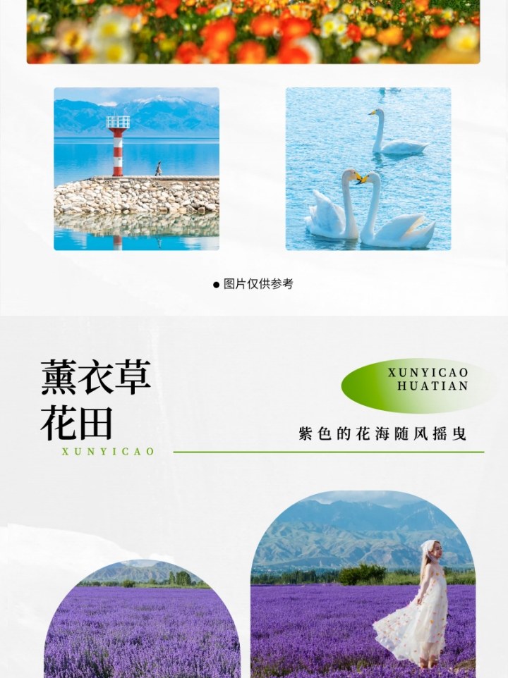 新疆伊犁牧歌8日（昭蘇草原+綠野仙蹤瓊庫什臺+那拉提空中草原+恰西畫卷+庫爾德寧+唐布拉）
