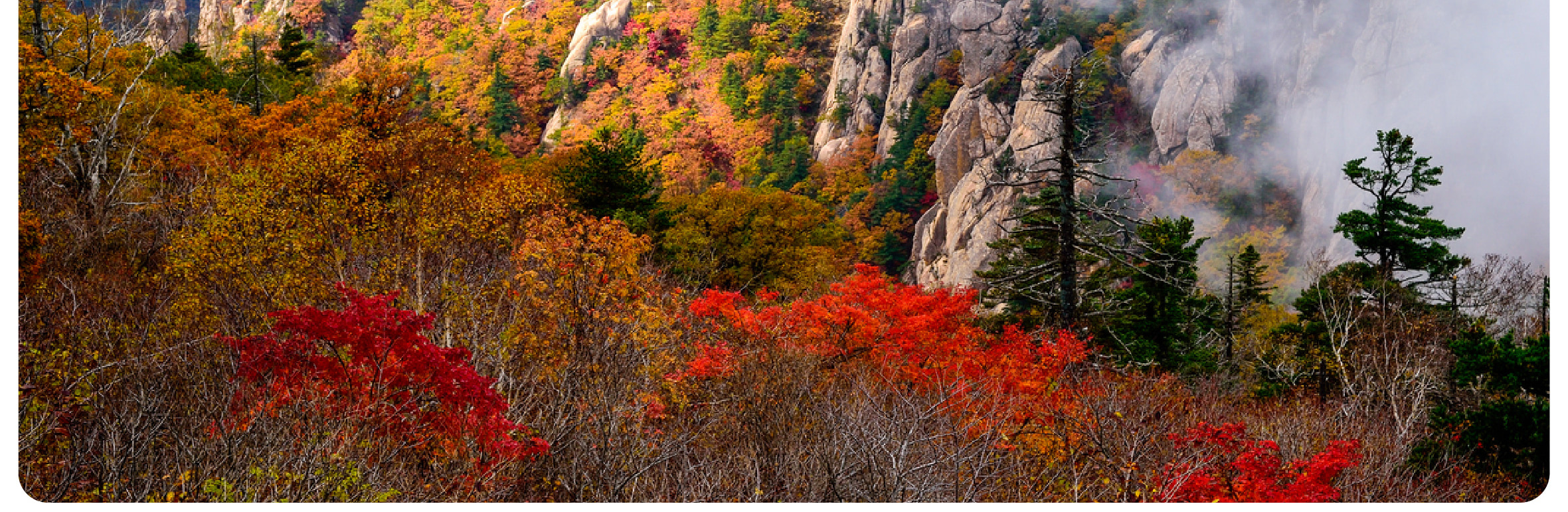 在專業導遊的帶領下，探索韓國雪嶽山 (Mountain Seorak) 令人驚豔的山峰和寧靜步道。