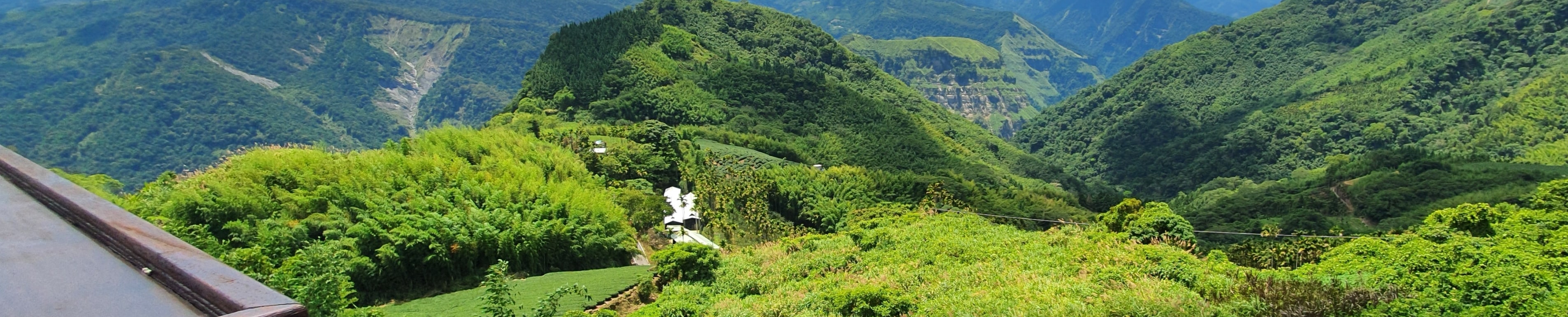 Alishan Alishan