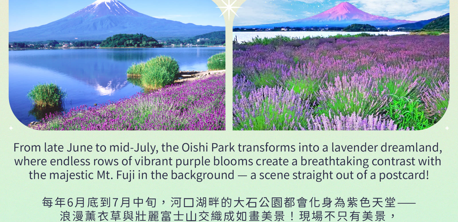 Mt. Fuji Oishi Park x Oshino Hakkai x Koedo Kawagoe Day Tour (Depart from Shinjuku)