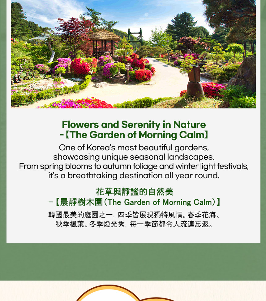 羊駝世界 & 南怡島 & 江村鐵路自行車 & 小法國村 & 樂高樂園