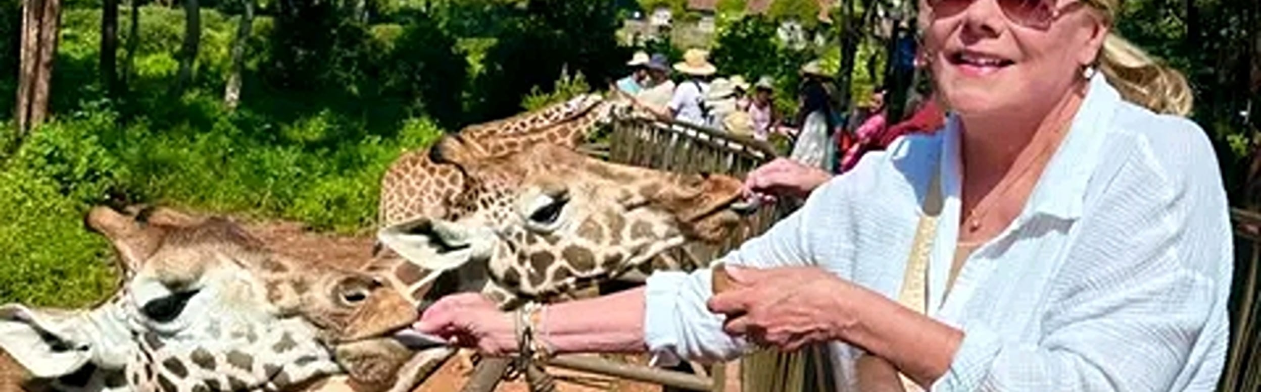 Mombasa: Giraffes Feeding Experience At Haller Park. 