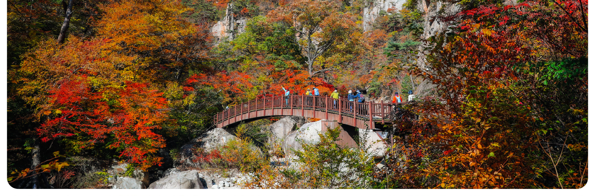 盡情呼吸雪嶽山之美——雄偉山峰、鮮豔森林與寧靜步道，等您來探索冒險。